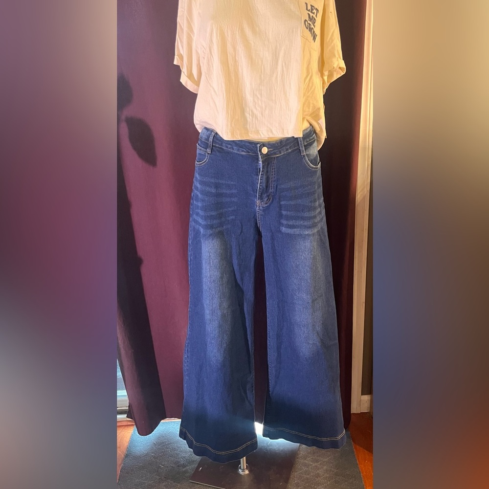 Stylish Indigo Women's Flare Jeans